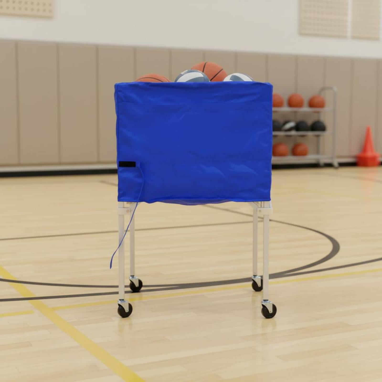Foldable Ball Trolley Multi-Sp - Gym Ball ulasan dan harga