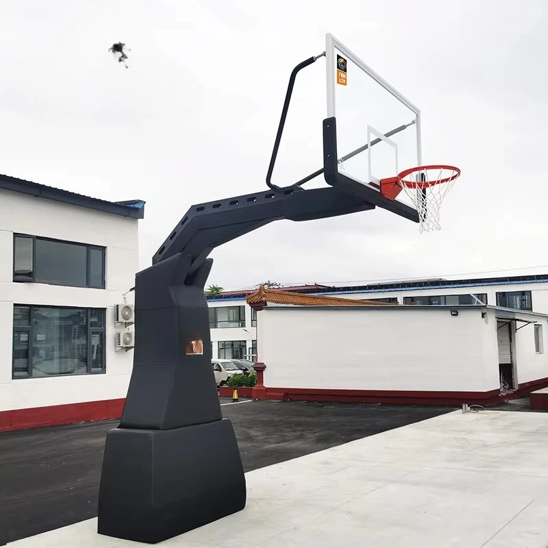 FIBA Approved Professional Bas - Basketball Hoop ulasan dan harga