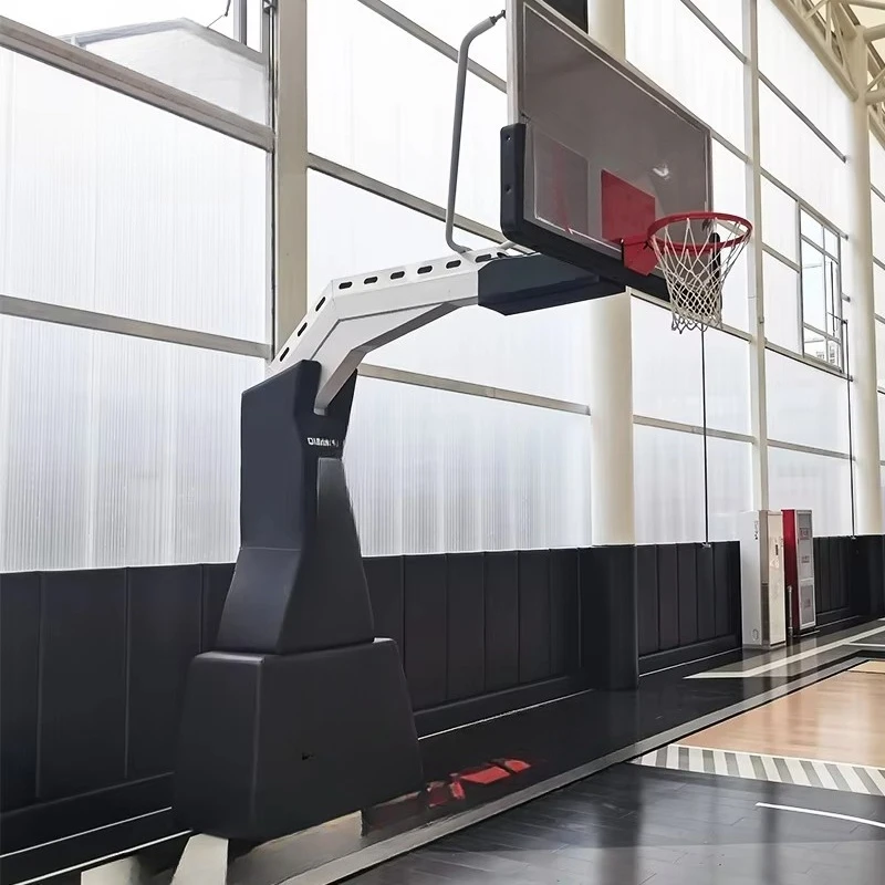 FIBA Approved Professional Bas - Basketball Hoop ulasan dan harga