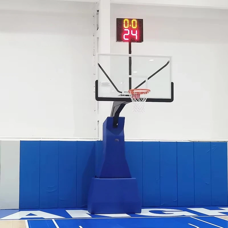 FIBA Approved Professional Bas - Basketball Hoop ulasan dan harga